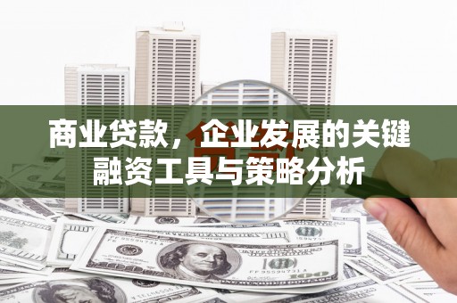 海兴商业贷款，企业发展的关键融资工具与策略分析