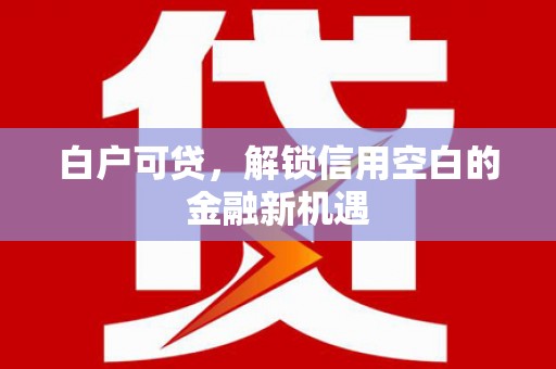 海兴白户可贷，解锁信用空白的金融新机遇