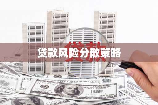 海兴贷款风险分散策略