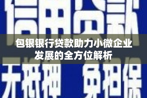海兴包银银行贷款助力小微企业发展的全方位解析
