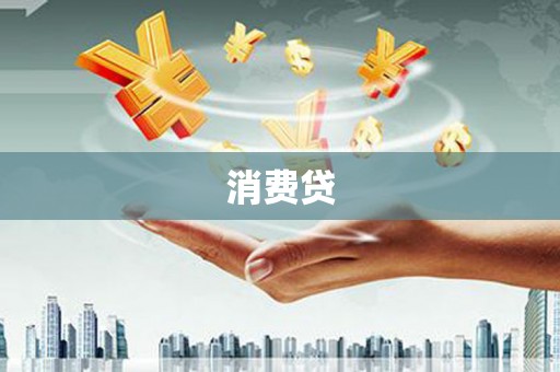 海兴消费贷