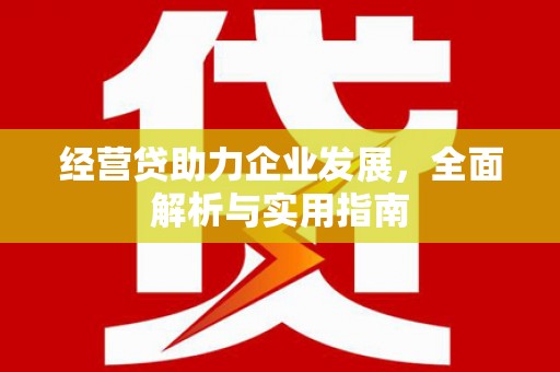 海兴经营贷助力企业发展，全面解析与实用指南