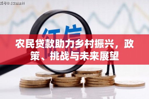 海兴农民贷款助力乡村振兴，政策、挑战与未来展望