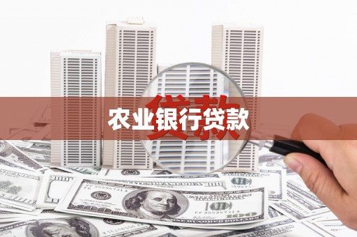 海兴农业银行贷款