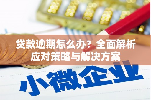 海兴贷款逾期怎么办？全面解析应对策略与解决方案