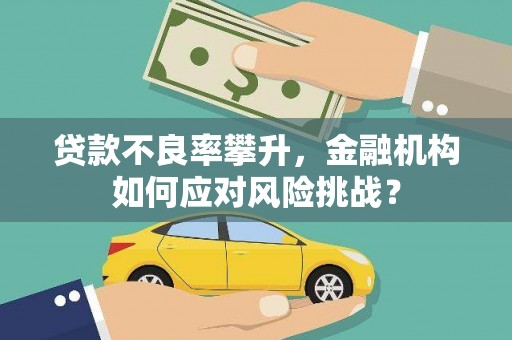 海兴贷款不良率攀升，金融机构如何应对风险挑战？