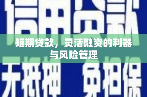 海兴短期贷款，灵活融资的利器与风险管理