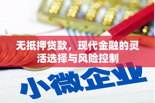 海兴无抵押贷款，现代金融的灵活选择与风险控制