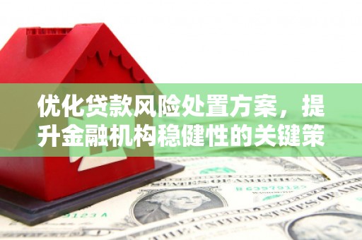 海兴优化贷款风险处置方案，提升金融机构稳健性的关键策略
