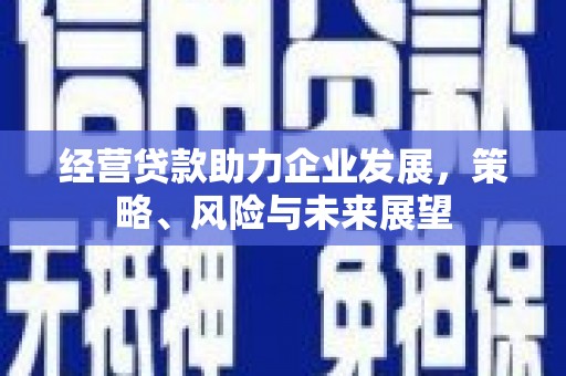 海兴经营贷款助力企业发展，策略、风险与未来展望