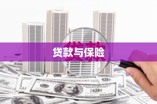 海兴贷款与保险