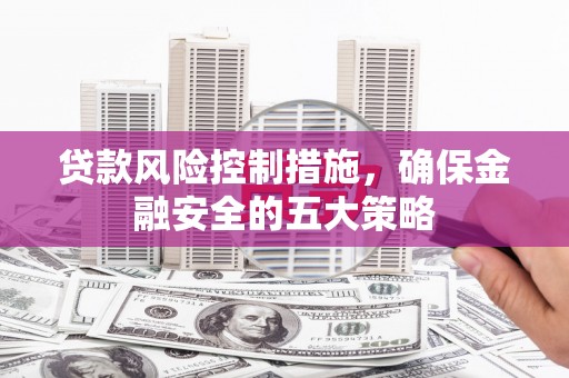 海兴贷款风险控制措施，确保金融安全的五大策略