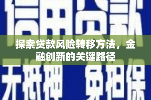 海兴探索贷款风险转移方法，金融创新的关键路径