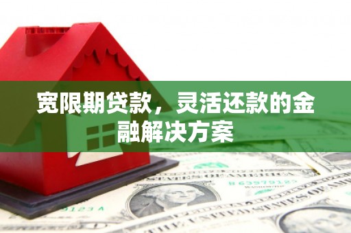海兴宽限期贷款，灵活还款的金融解决方案