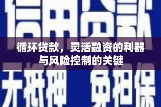海兴循环贷款，灵活融资的利器与风险控制的关键