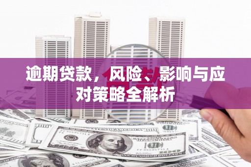 海兴逾期贷款，风险、影响与应对策略全解析