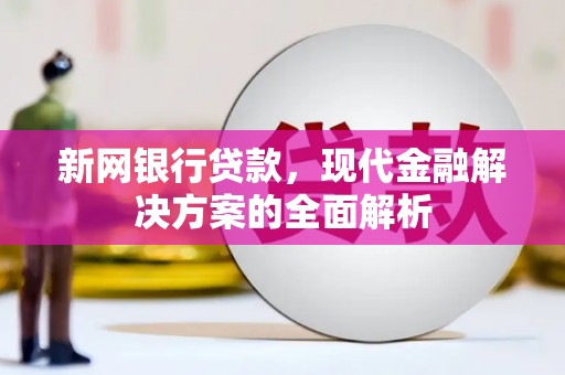 海兴新网银行贷款，现代金融解决方案的全面解析