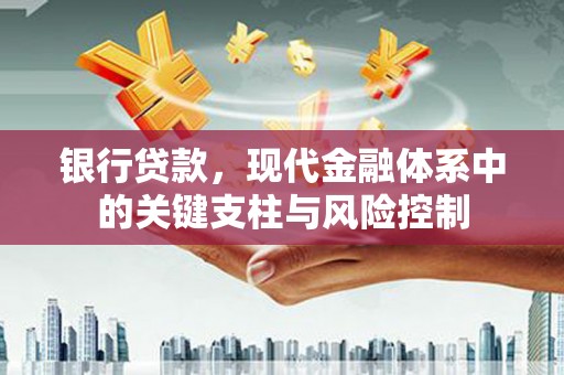 海兴银行贷款，现代金融体系中的关键支柱与风险控制