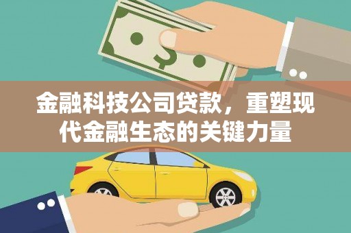 海兴金融科技公司贷款，重塑现代金融生态的关键力量