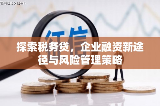海兴探索税务贷，企业融资新途径与风险管理策略