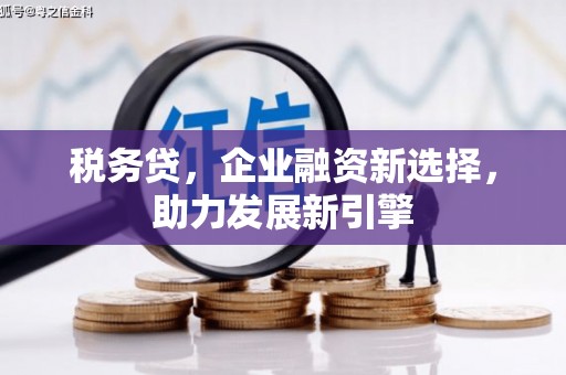 海兴税务贷，企业融资新选择，助力发展新引擎
