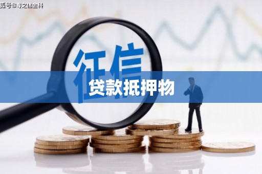 海兴贷款抵押物