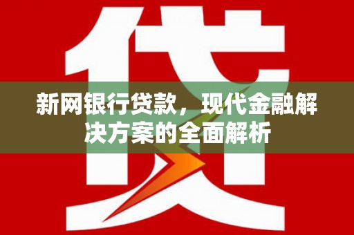海兴新网银行贷款，现代金融解决方案的全面解析