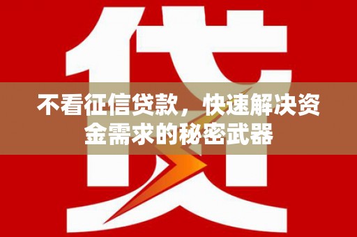 海兴不看征信贷款，快速解决资金需求的秘密武器