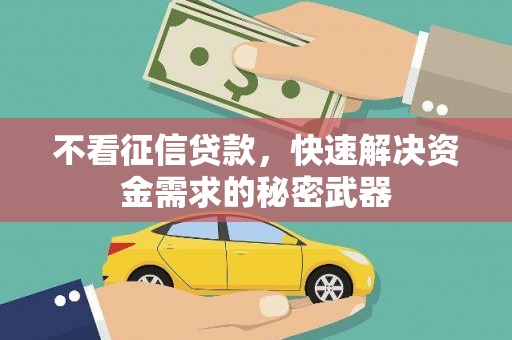 海兴不看征信贷款，快速解决资金需求的秘密武器