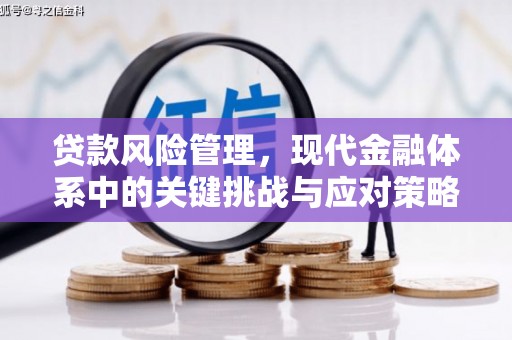 海兴贷款风险管理，现代金融体系中的关键挑战与应对策略