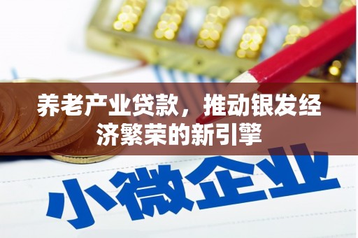 海兴养老产业贷款，推动银发经济繁荣的新引擎