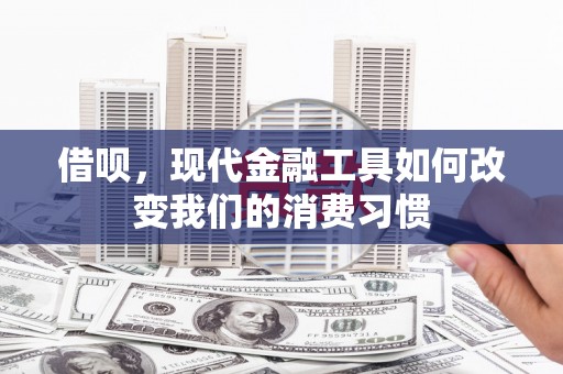 海兴借呗，现代金融工具如何改变我们的消费习惯