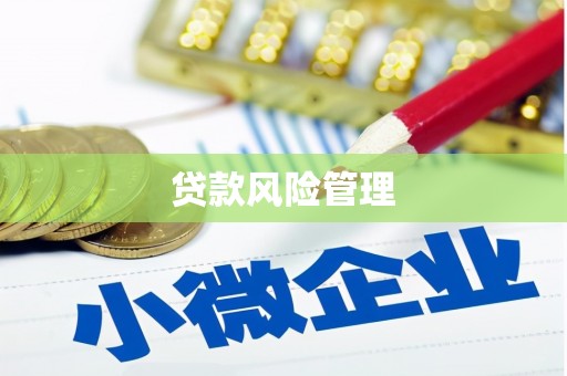海兴贷款风险管理