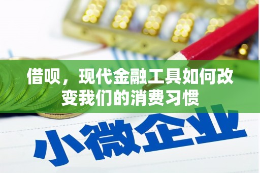海兴借呗，现代金融工具如何改变我们的消费习惯