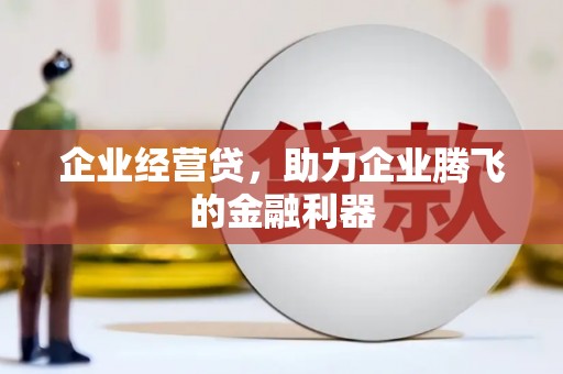 海兴企业经营贷，助力企业腾飞的金融利器
