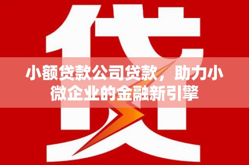 海兴小额贷款公司贷款，助力小微企业的金融新引擎