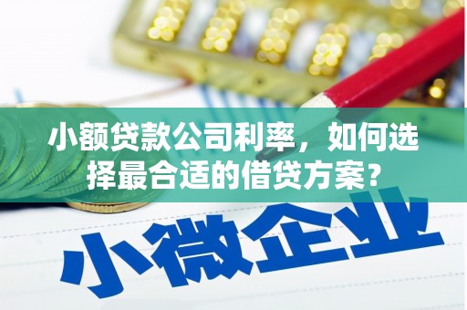 海兴小额贷款公司利率，如何选择最合适的借贷方案？