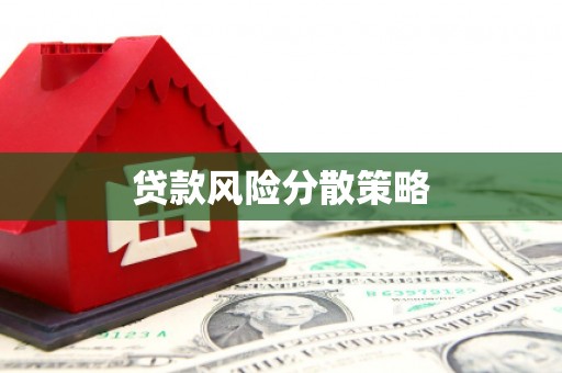 海兴贷款风险分散策略