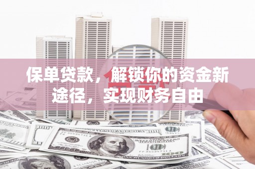海兴保单贷款，解锁你的资金新途径，实现财务自由