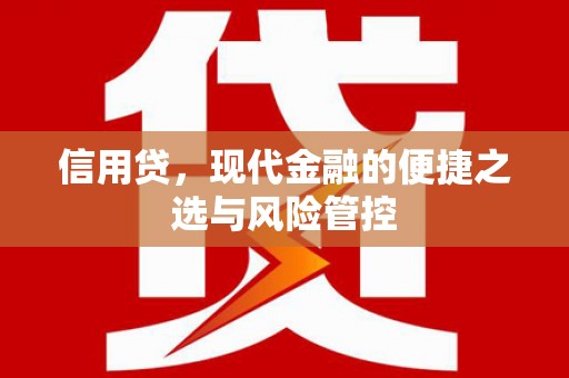 海兴信用贷，现代金融的便捷之选与风险管控