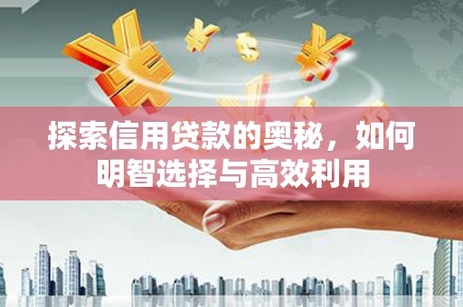海兴探索信用贷款的奥秘，如何明智选择与高效利用