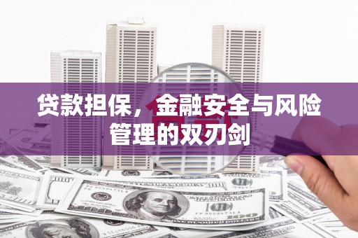 海兴贷款担保，金融安全与风险管理的双刃剑