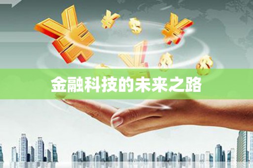 海兴金融科技的未来之路