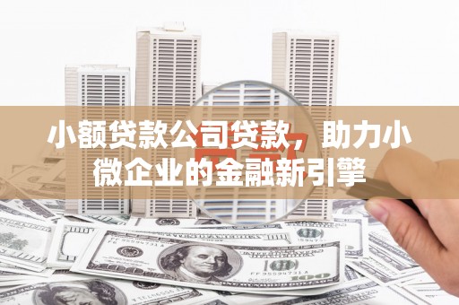 海兴小额贷款公司贷款，助力小微企业的金融新引擎