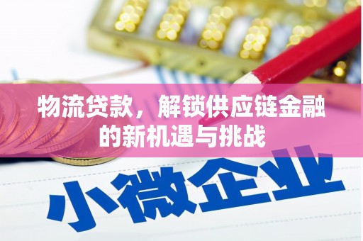 海兴物流贷款，解锁供应链金融的新机遇与挑战