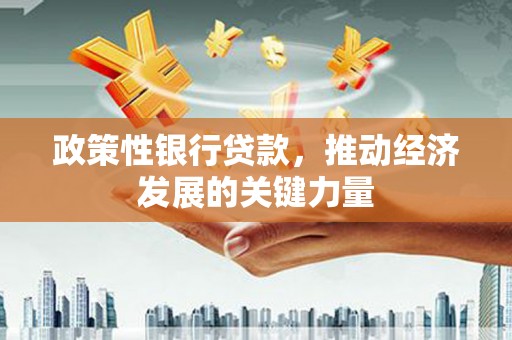 海兴政策性银行贷款，推动经济发展的关键力量