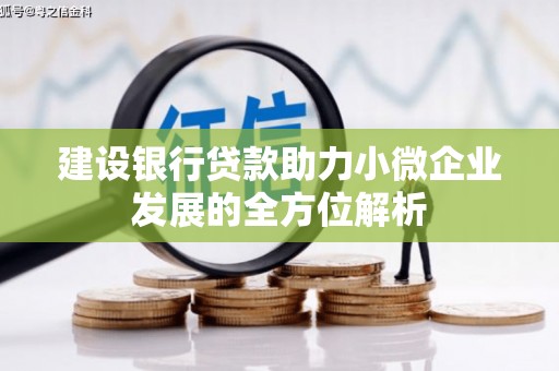 海兴建设银行贷款助力小微企业发展的全方位解析