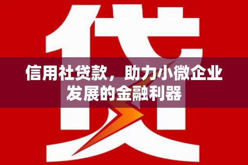 海兴信用社贷款，助力小微企业发展的金融利器