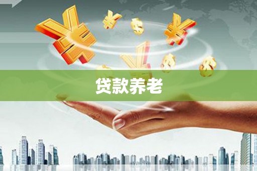 海兴贷款养老