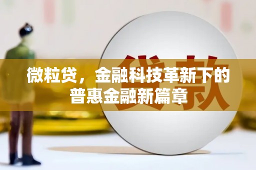海兴微粒贷，金融科技革新下的普惠金融新篇章